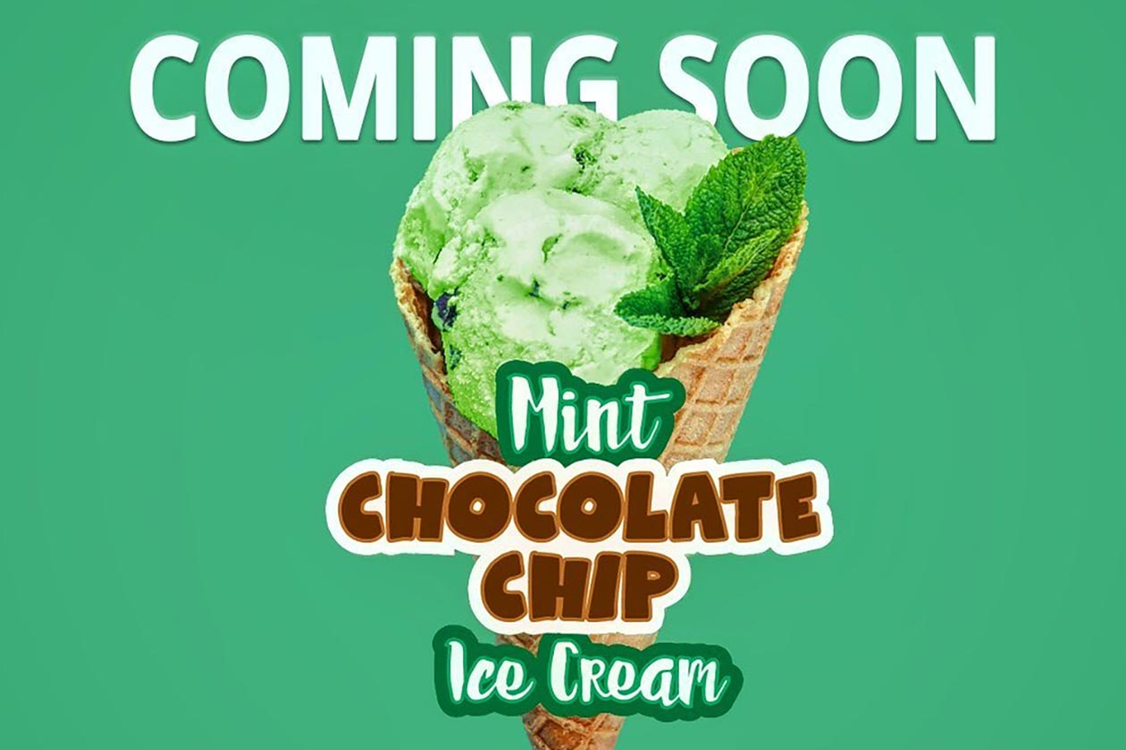 lion edge mint chocolate ice cream post edge