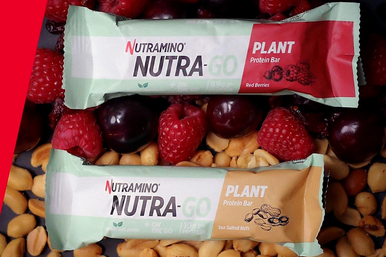 nutramino nutra go plant protein bar