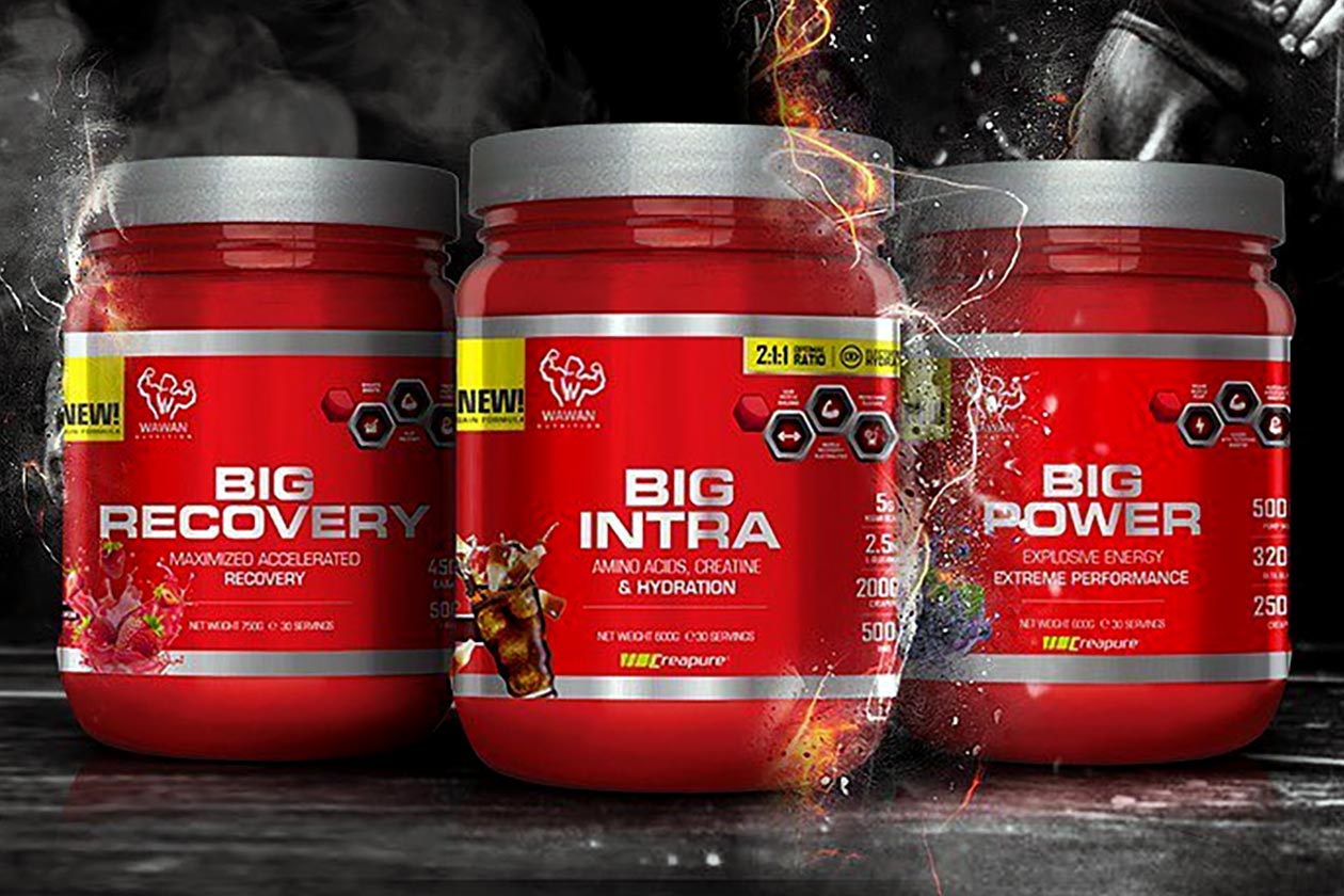 wawan nutrition big line