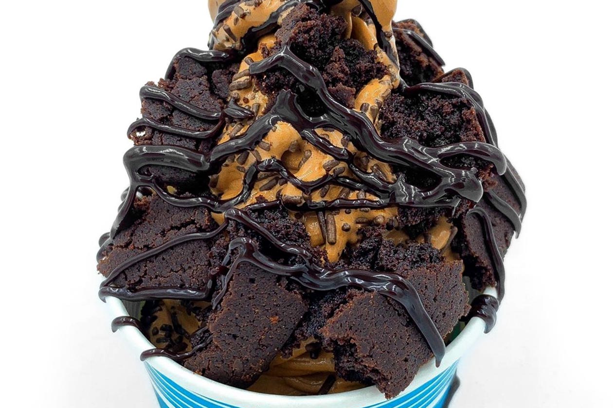 xn supps chocolate cake select protein froyo