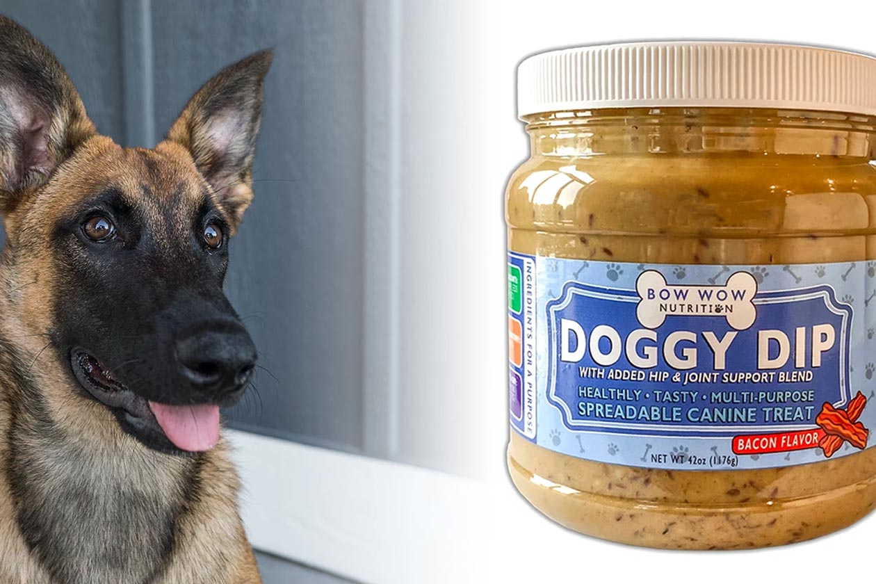 bowmar nutrition doggy dip