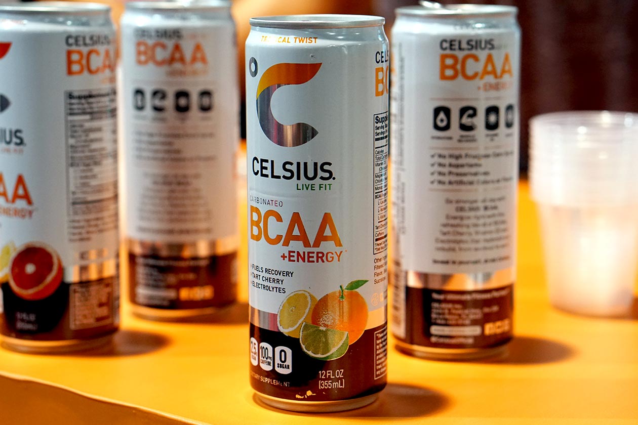 celsius bcaa energy drink