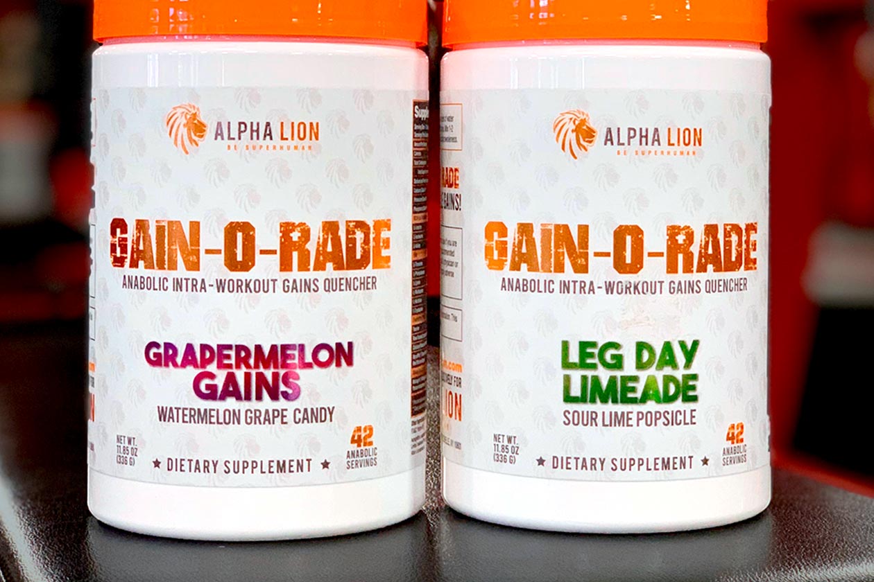 alpha lion gain-o-rade