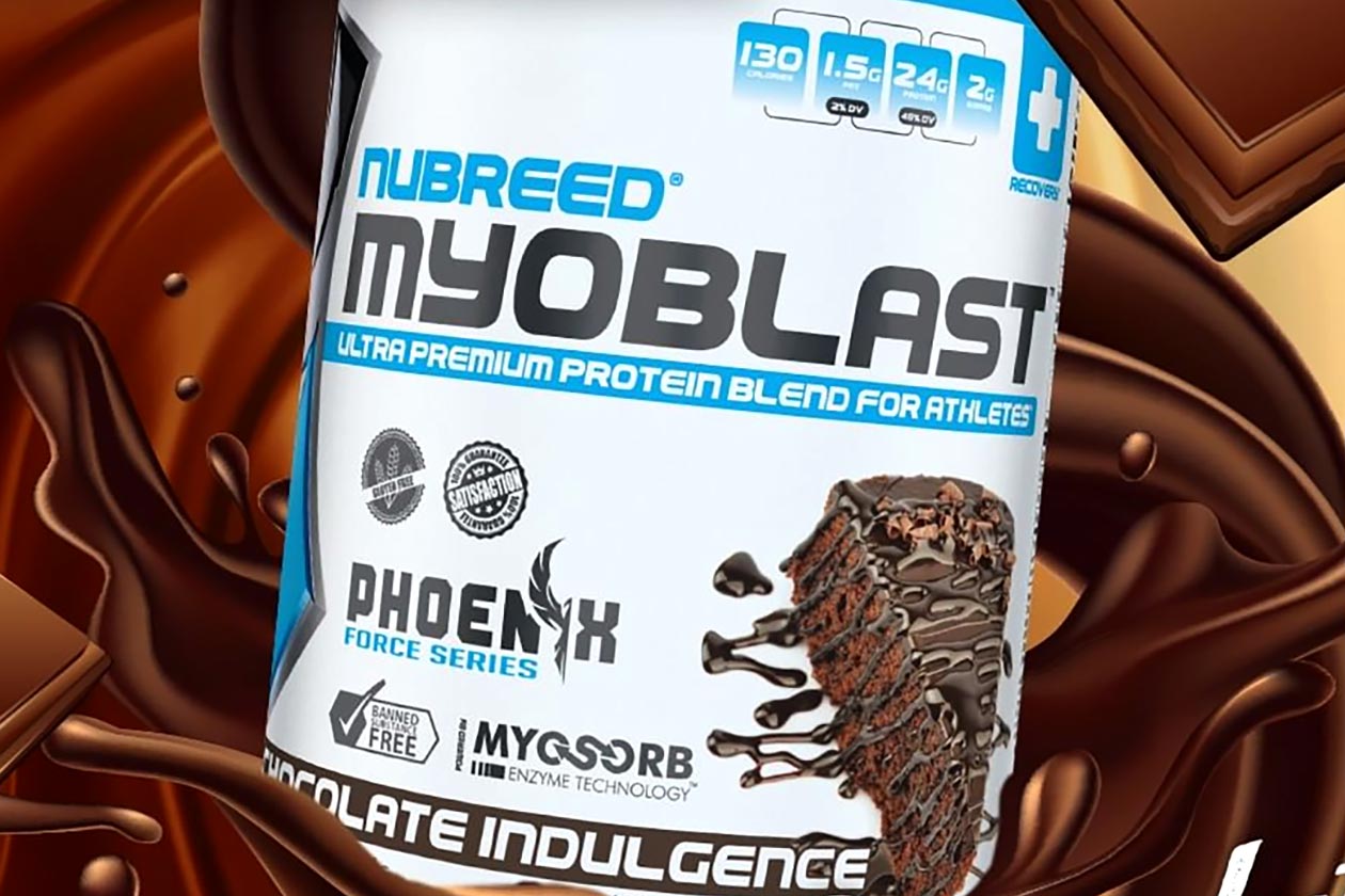 nubreed chocolate myoblast