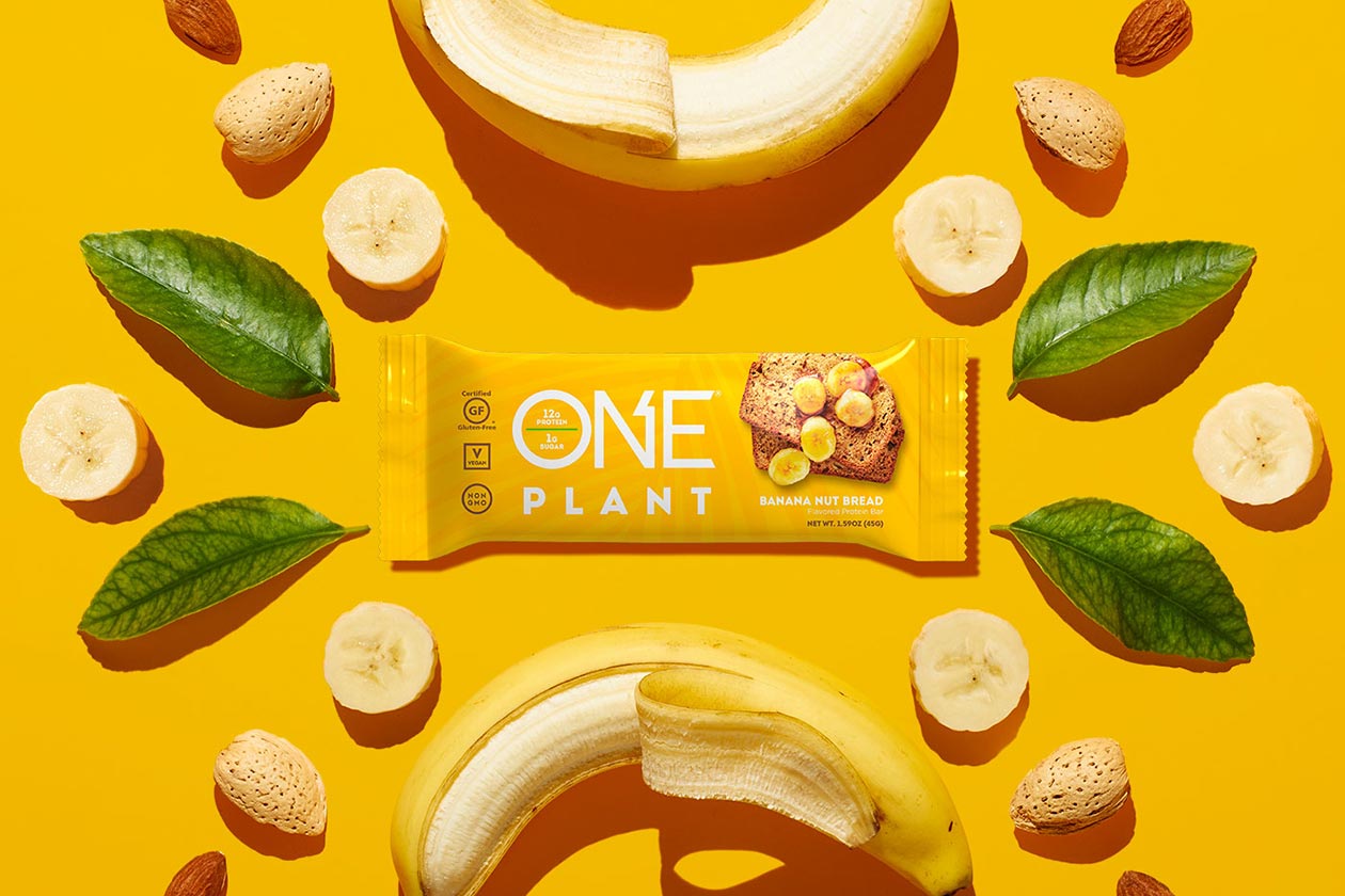 one plant protein bar