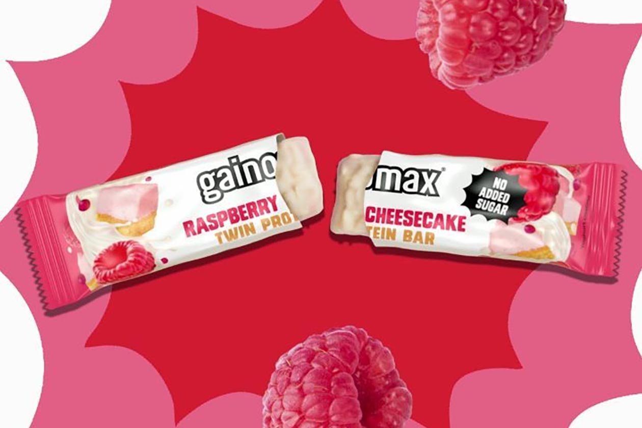 raspberry cheesecake gainomax twin protein bar