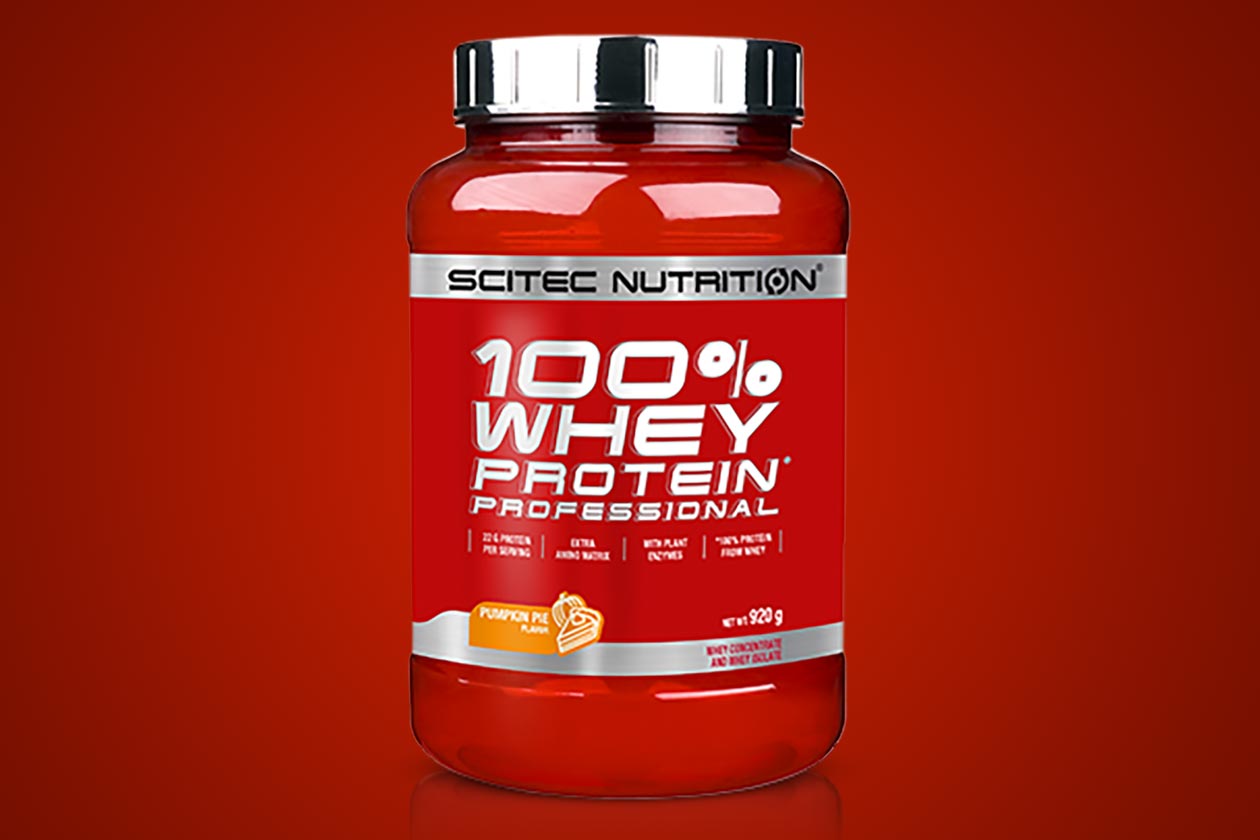 scitec pumpkin pie whey protein professional