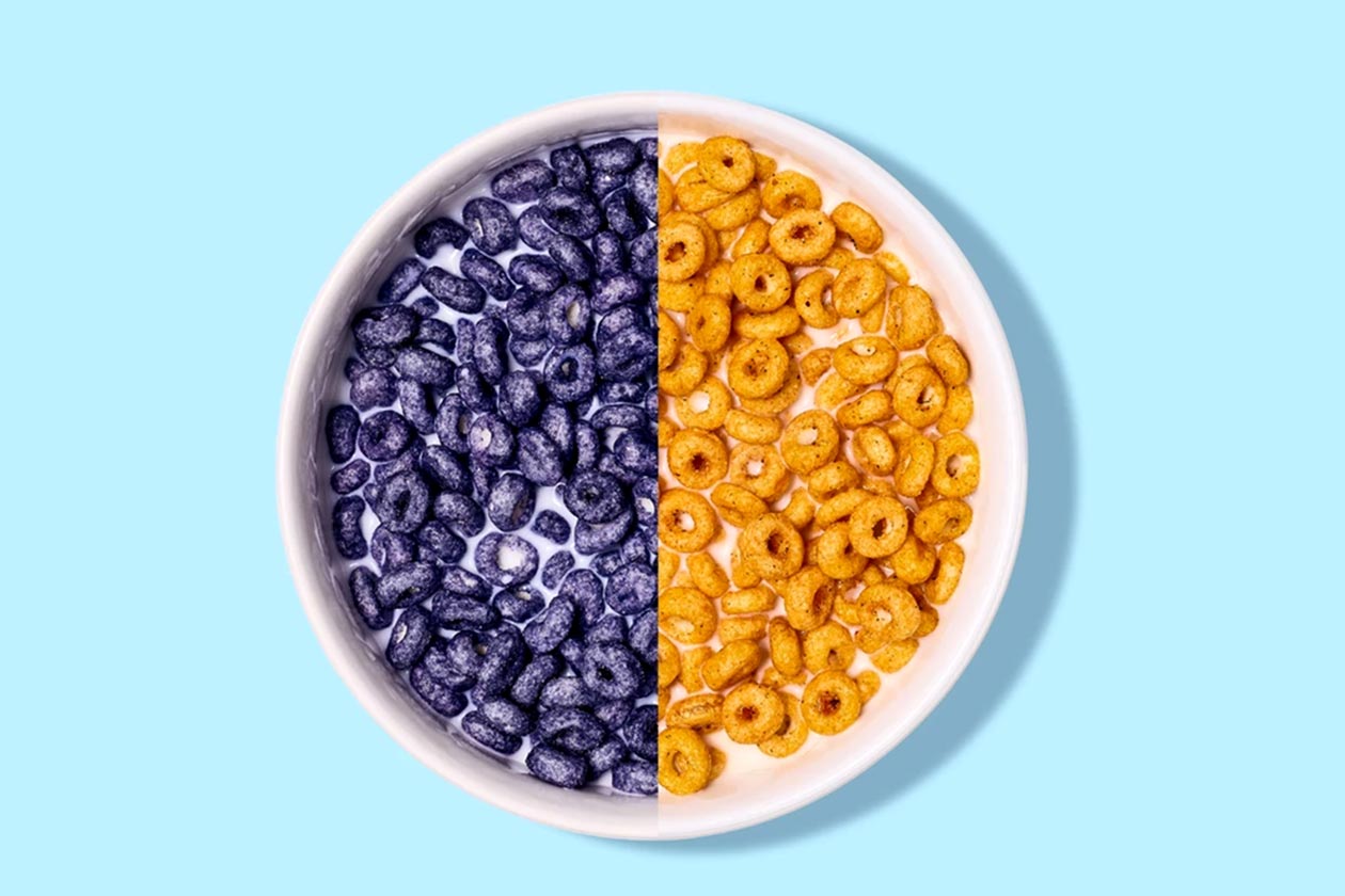 blueberry pumpkin chai magic spoon cereal