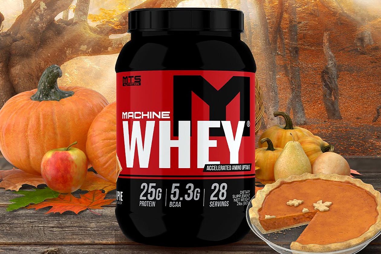 pumpkin pie machine whey