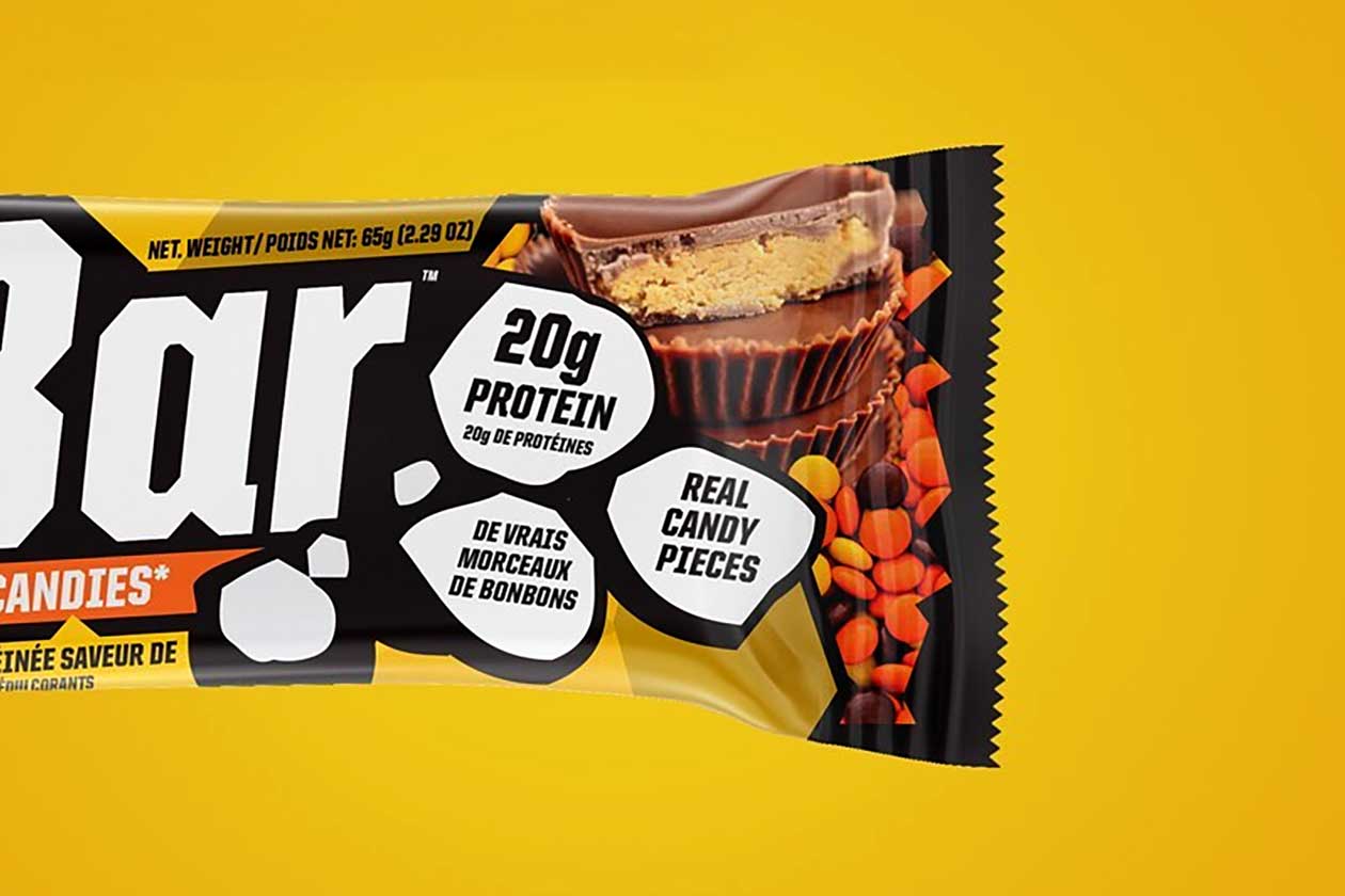 dedicated protein bar candy pieces