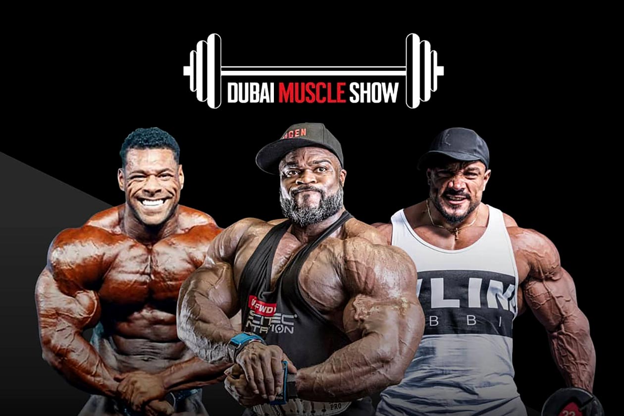 dubai muscle show