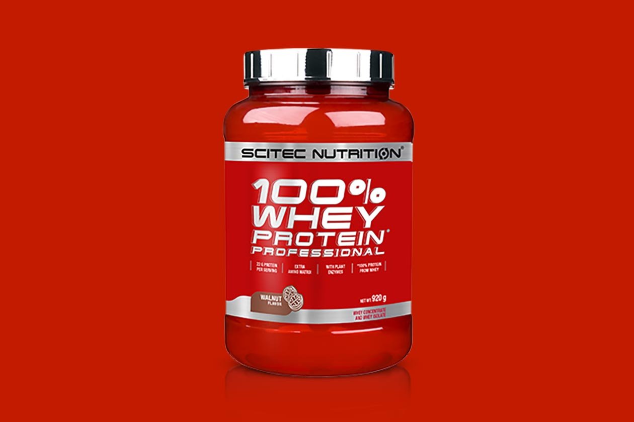 scitec nutrition walnut whey protein professional