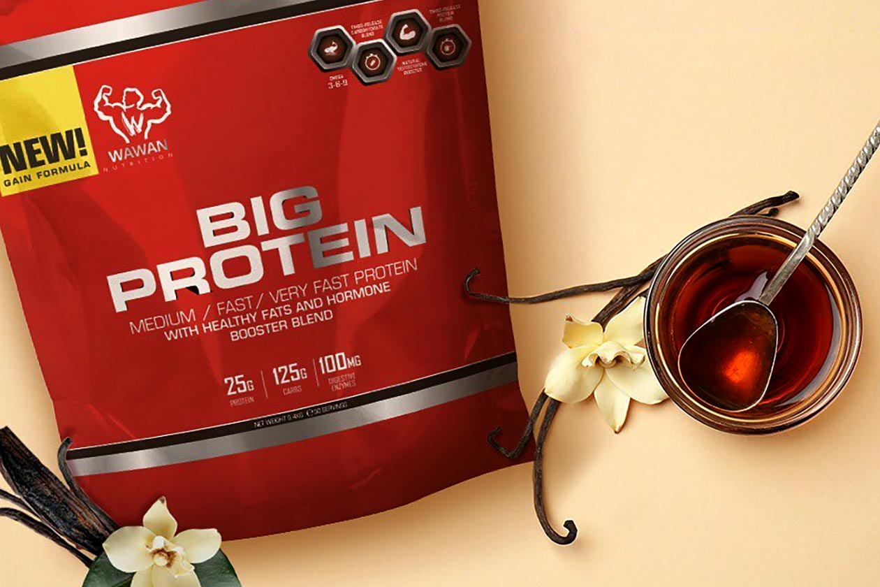 wawan nutrition big protein