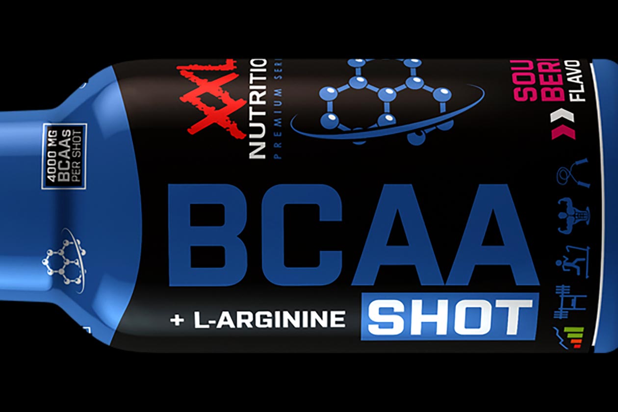 xxl nutrition bcaa shot