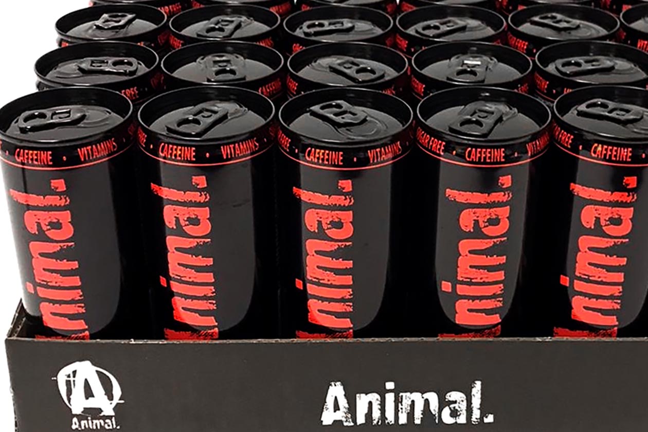 animal nrg drink