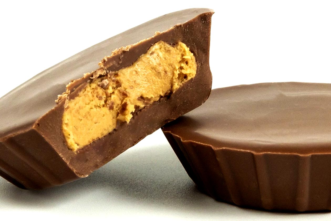 cocoa plus protein peanut butter cups