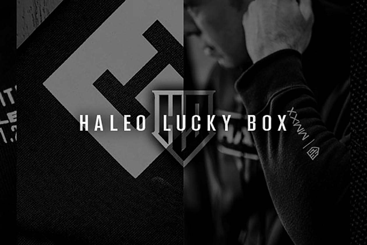 haleo lucky box