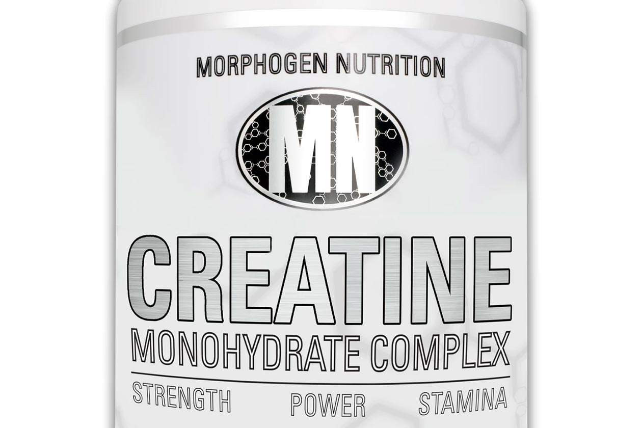 morphogen nutrition creatine