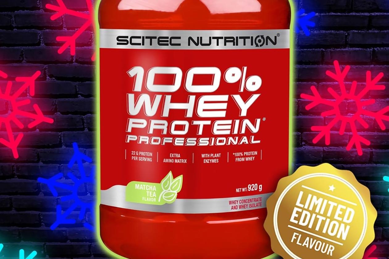 scitec matcha tea whey protein