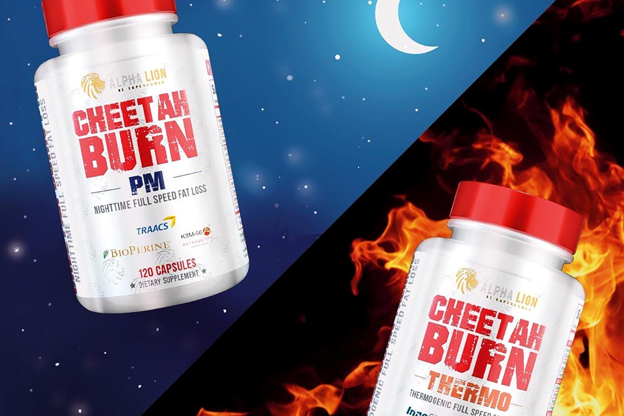 alpha lion cheetah burn pm and capsules