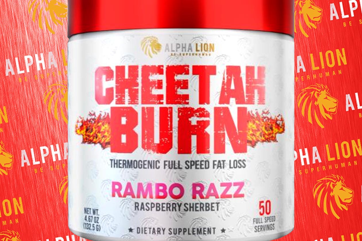 alpha lion cheetah burn