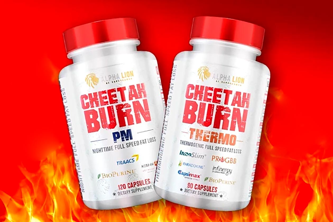 alpha lion cheetah burn pm and capsules