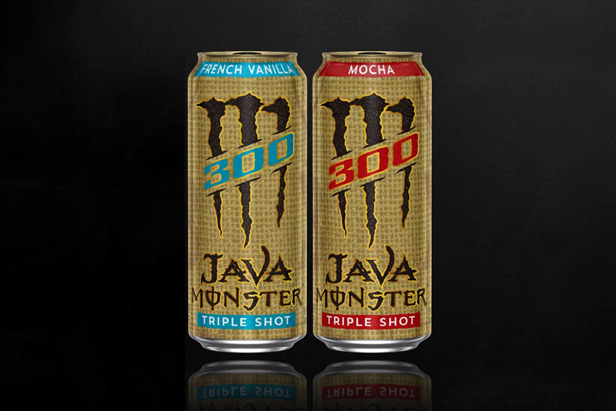 java monster 300