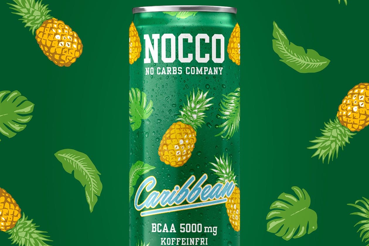 nocco caffeine free caribbean