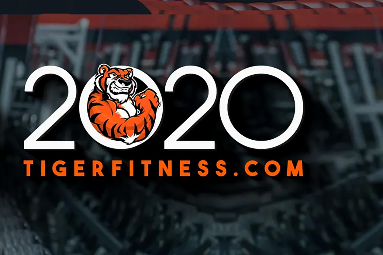 tiger fitness 2020 sale