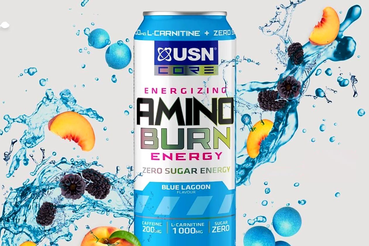 usn amino burn energy