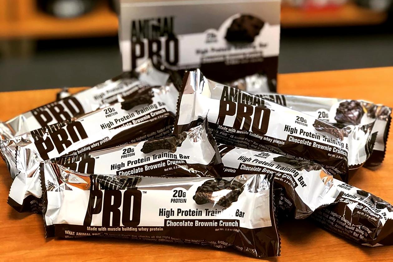 chocolate brownie crunch animal pro bar