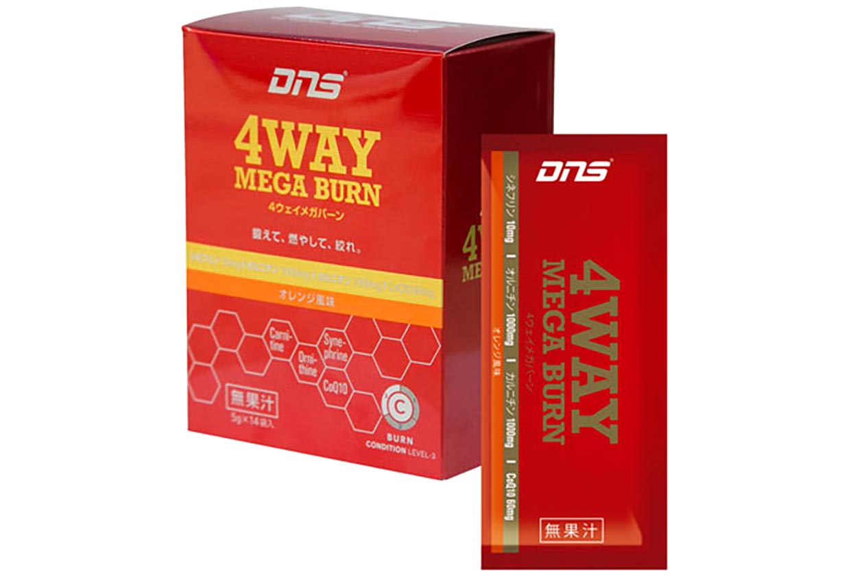 dns 4-way mega burn