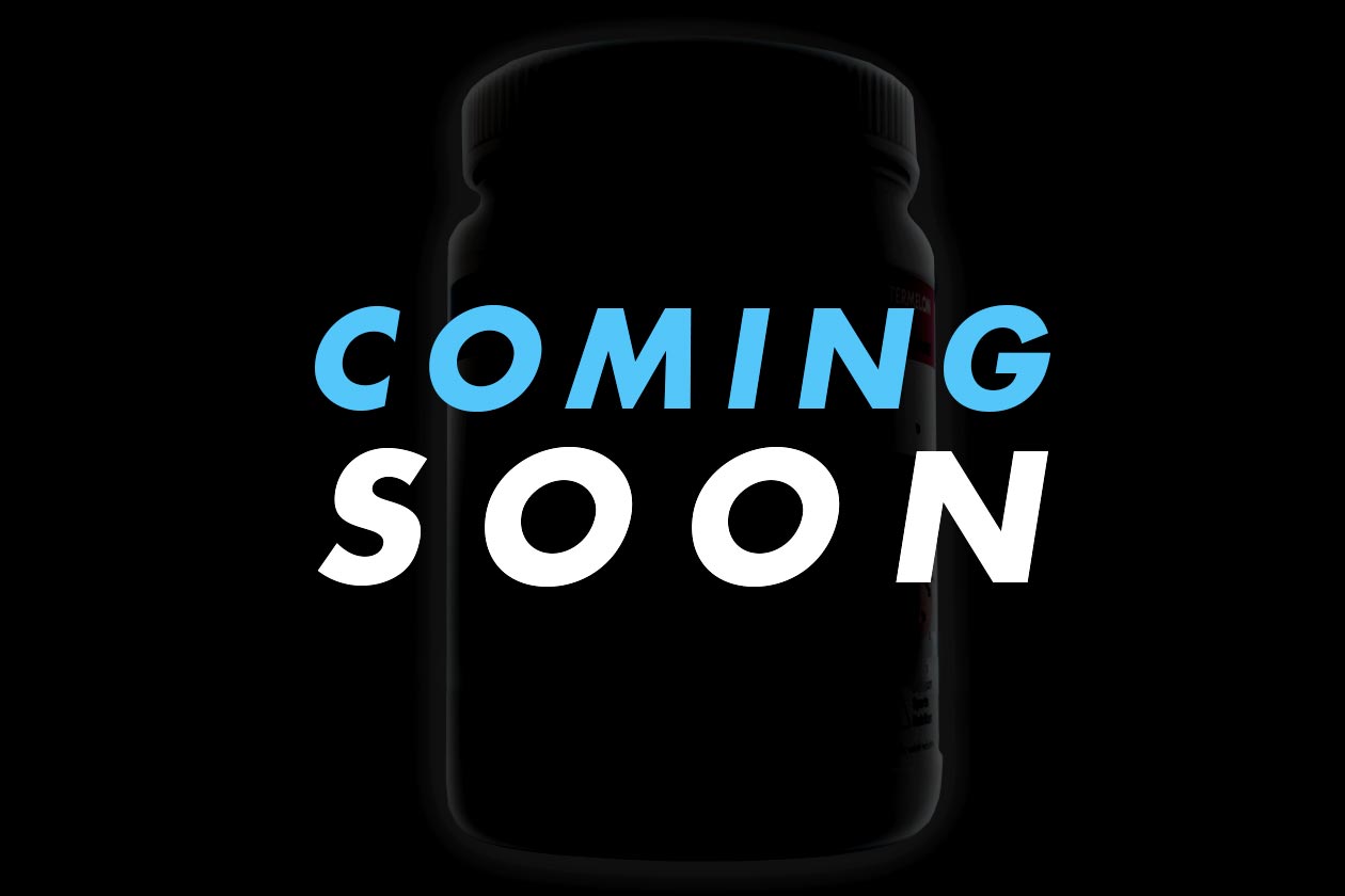 modern sports nutrition protein powder