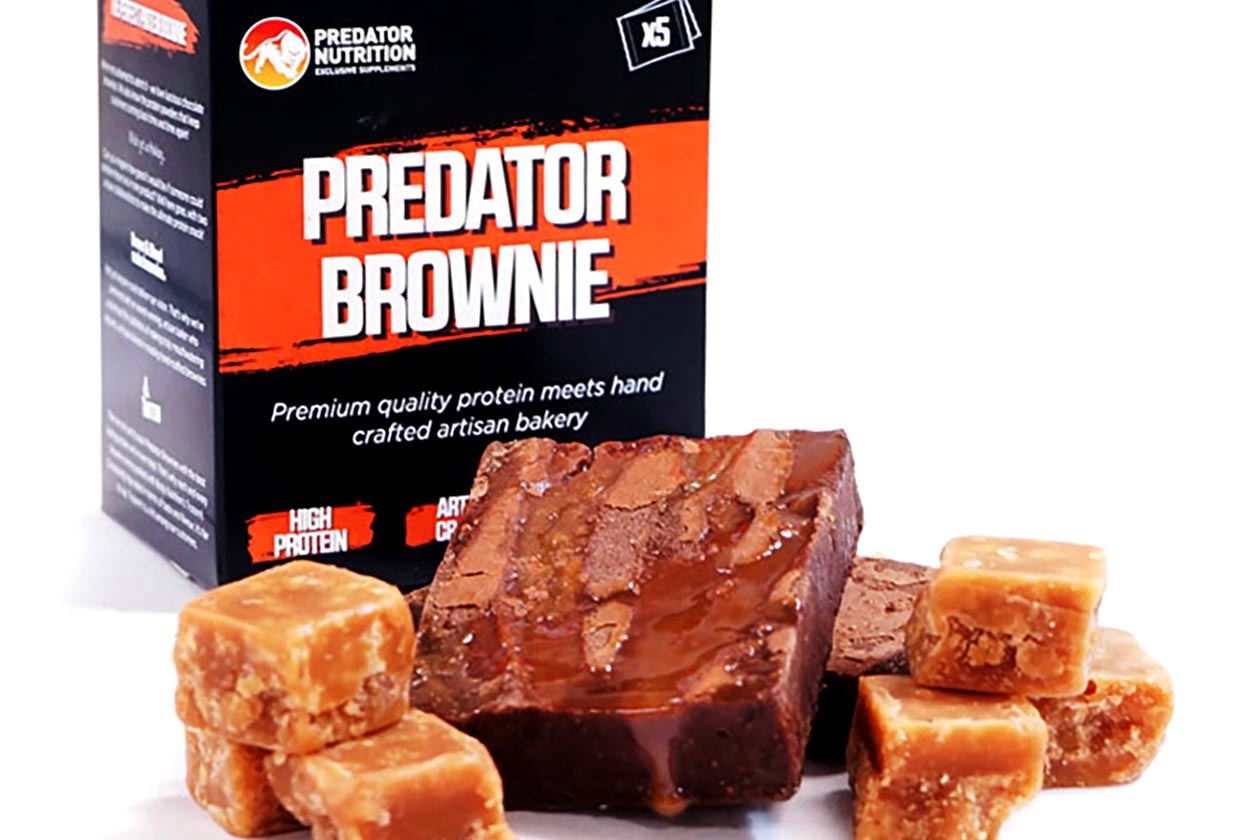 predator nutrition predator brownie