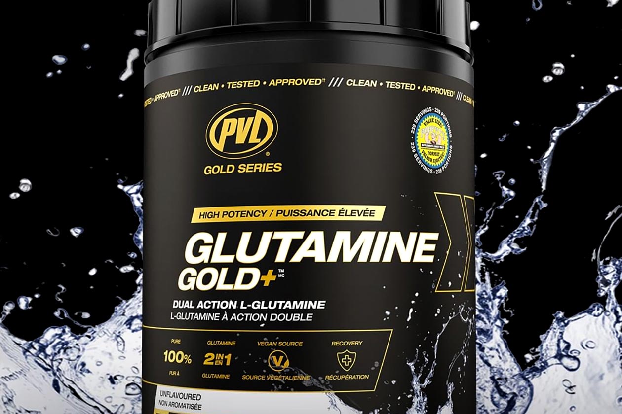 pvl glutamine gold