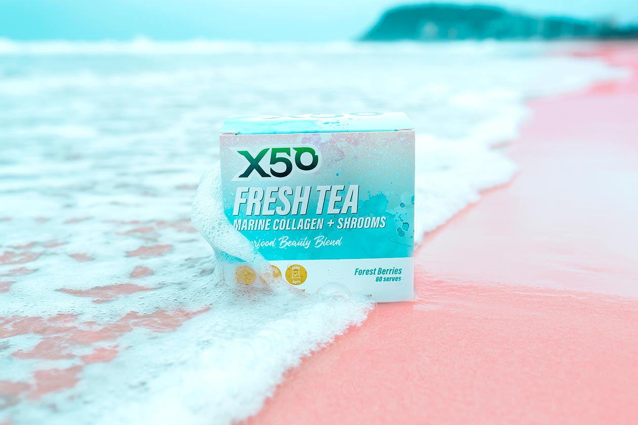 x50 fresh tea