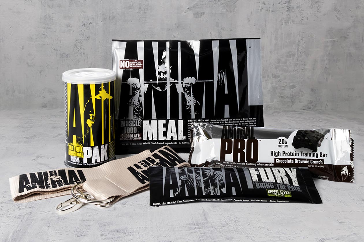 animal arnold 2020 sale