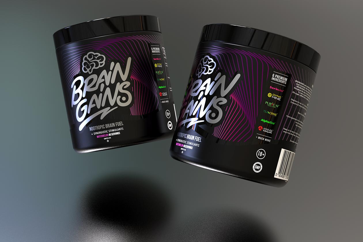 brain gains switch on black edition