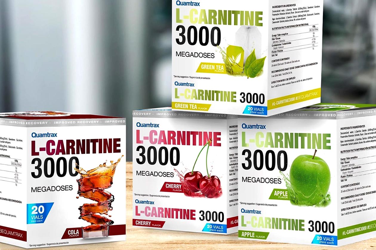 quamtrax l-carnitine 3000