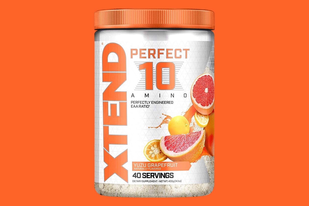 xtend perfect 10 amino