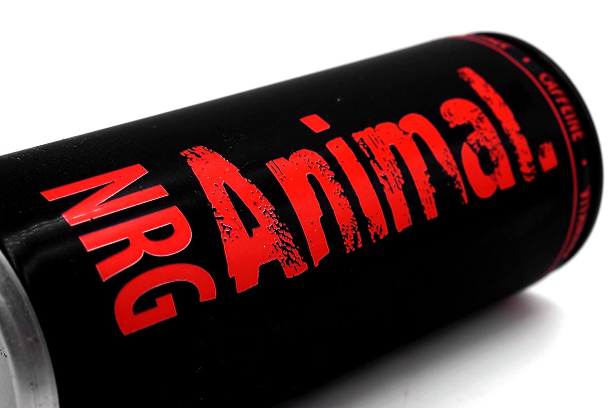 animal energy drink review