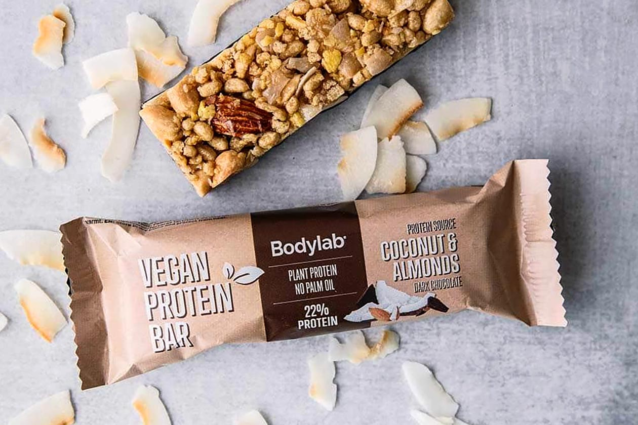 bodylab vegan protein bar