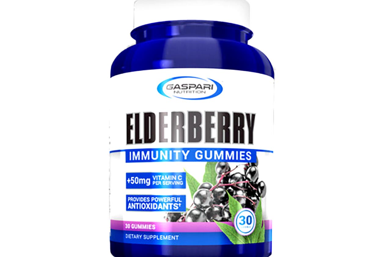 gaspari elderberry gummies