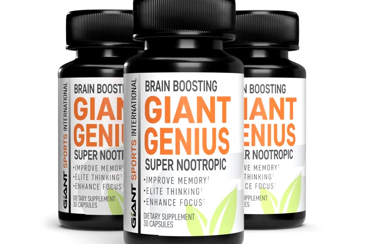 giant genius super nootropic