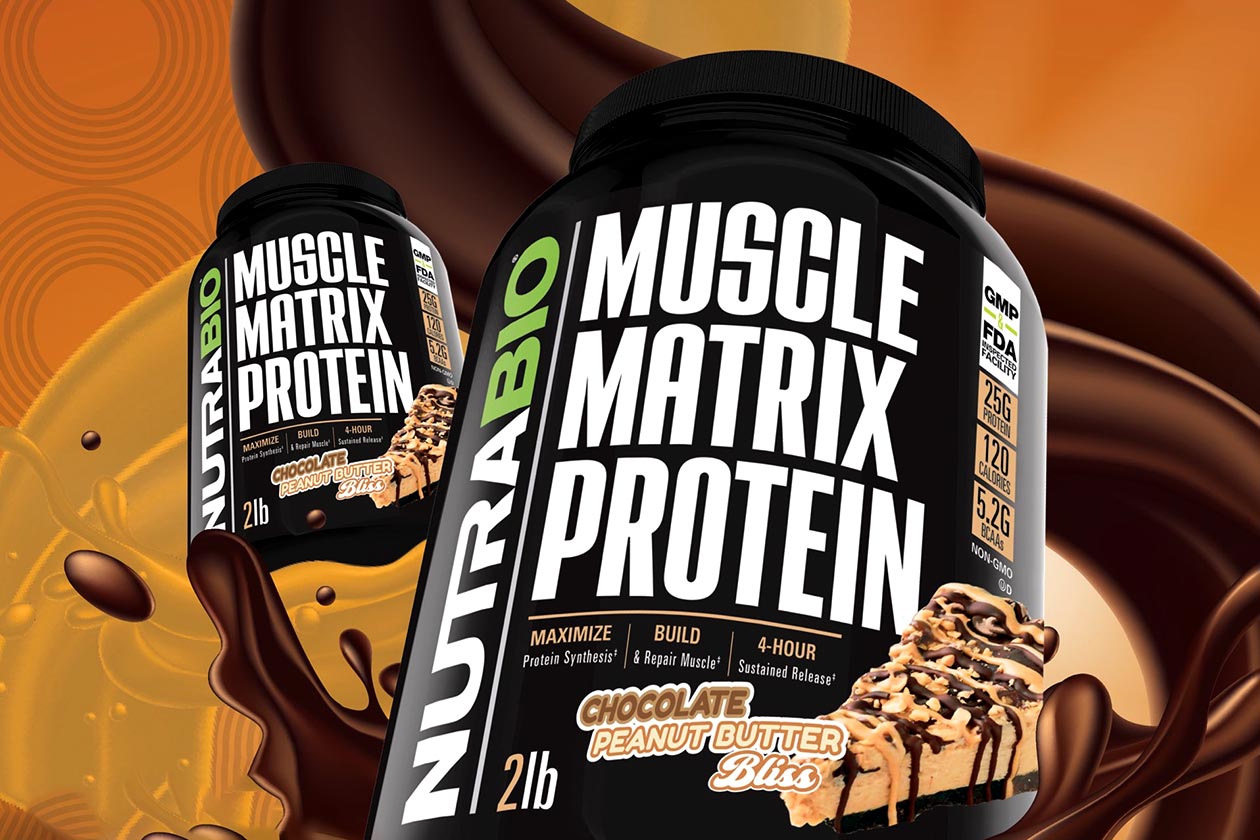 nutrabio chocolate peanut butter bliss muscle matrix