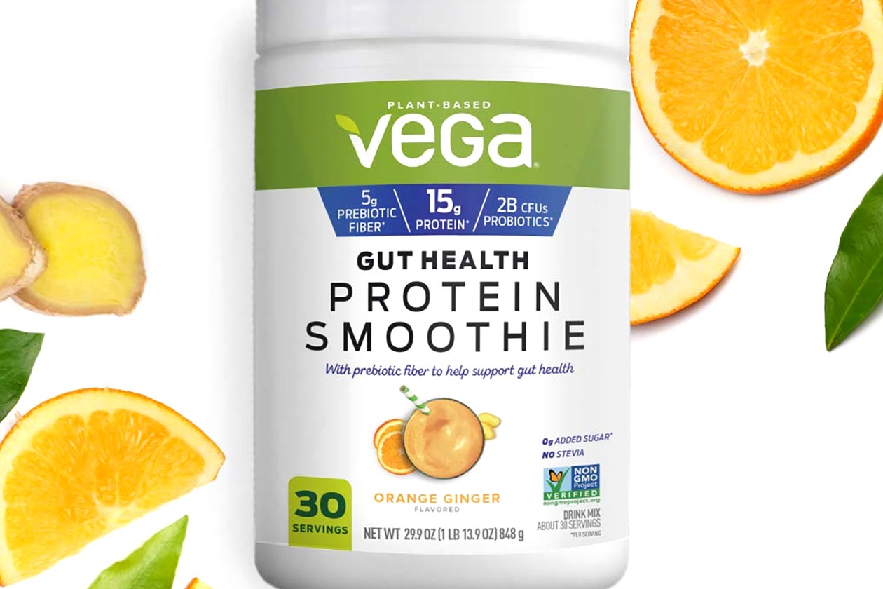 vega gut health protein smoothie