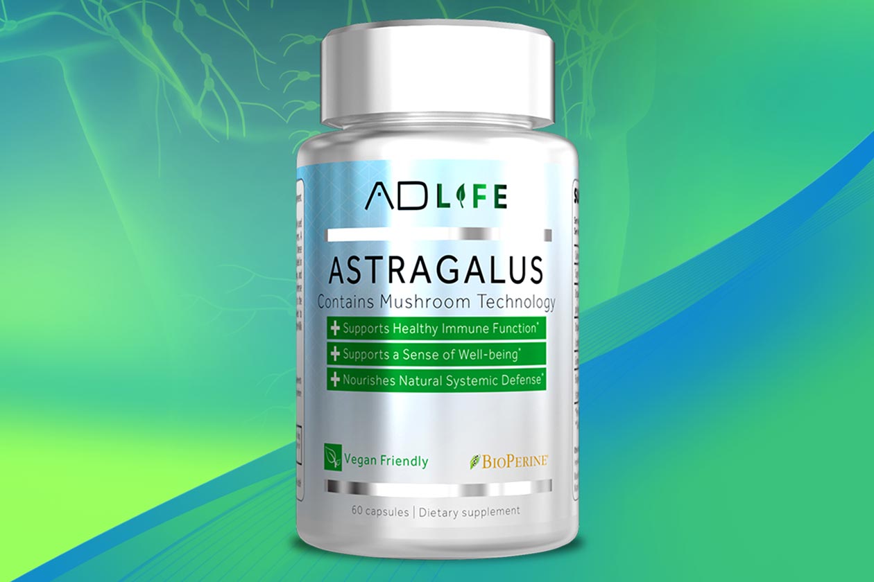 anabolic designs adlife astragalus