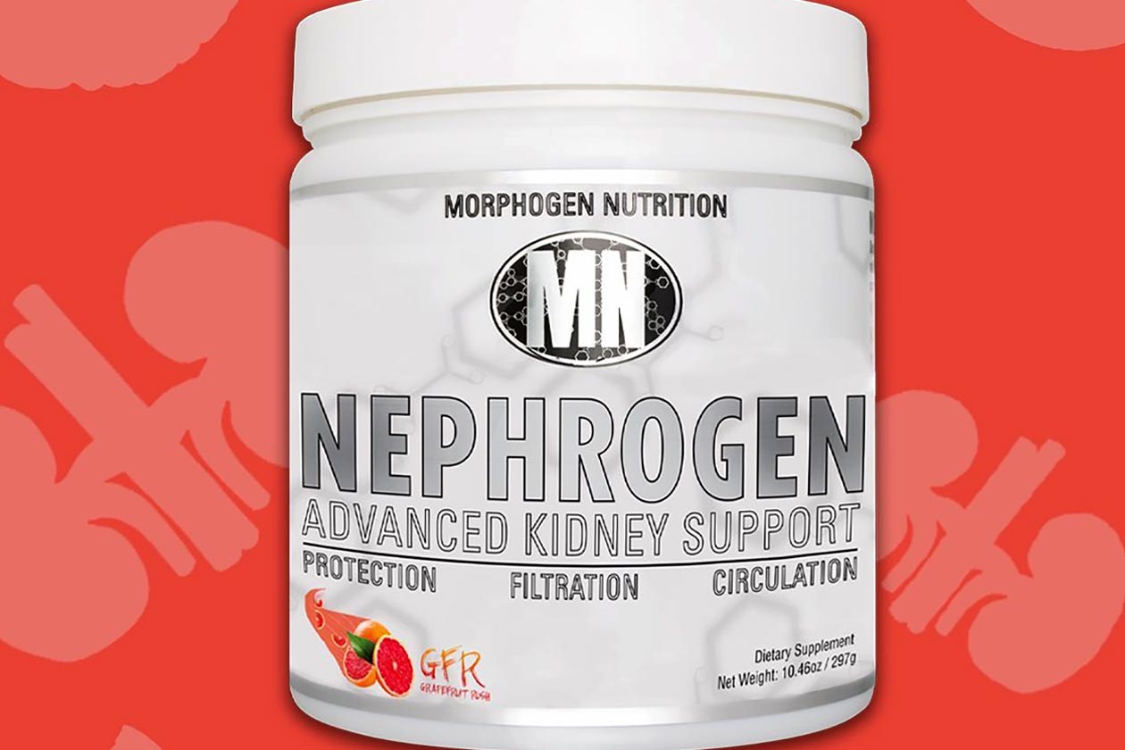 morphogen nutrition nephrogen