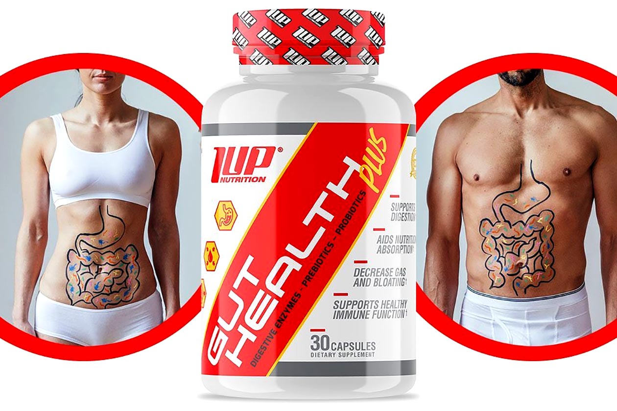 1 up nutrition gut health plus