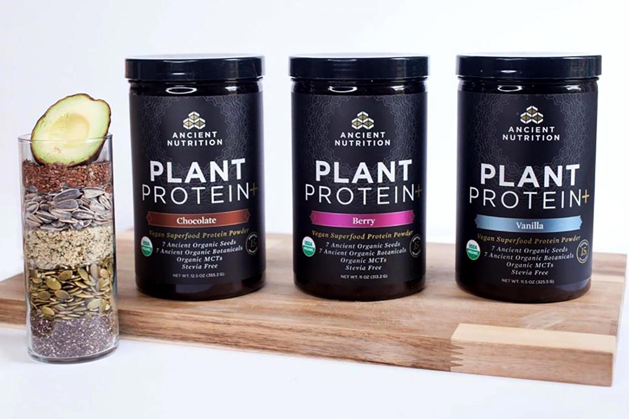 ancient nutrition plant protein